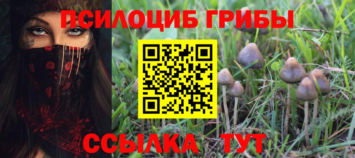 Галлюциногенные грибы Psilocybe  Вход с VPN  Псилоцибиновые грибы мицелий  Соль-Илецк 